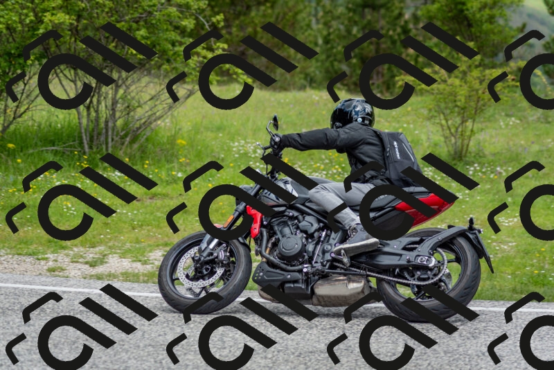 202505181134-DSC_8694_c2