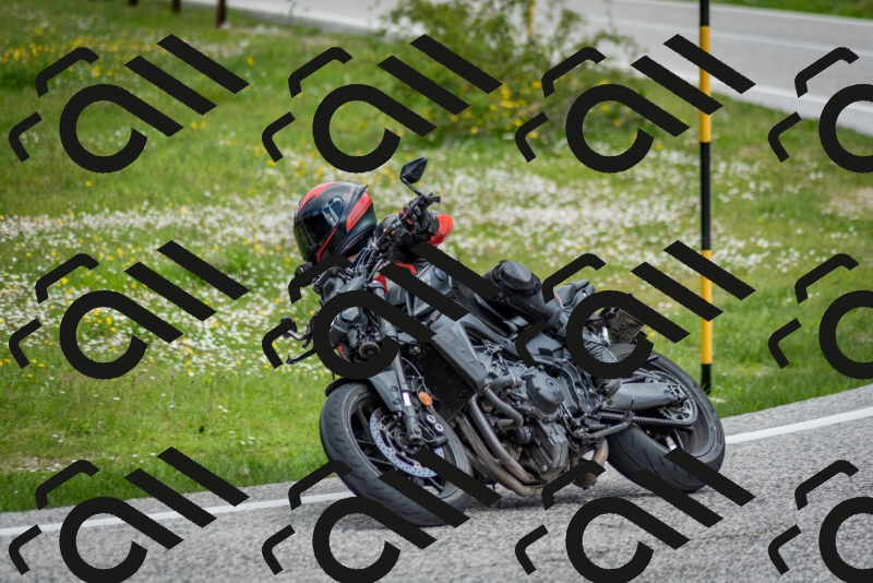 202505181135-DSC_8695_c2