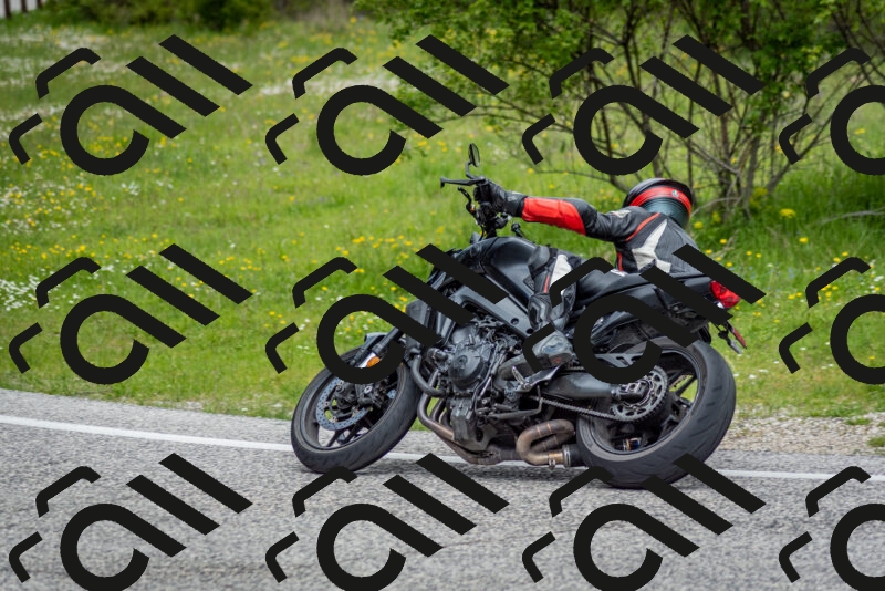 202505181135-DSC_8697_c2