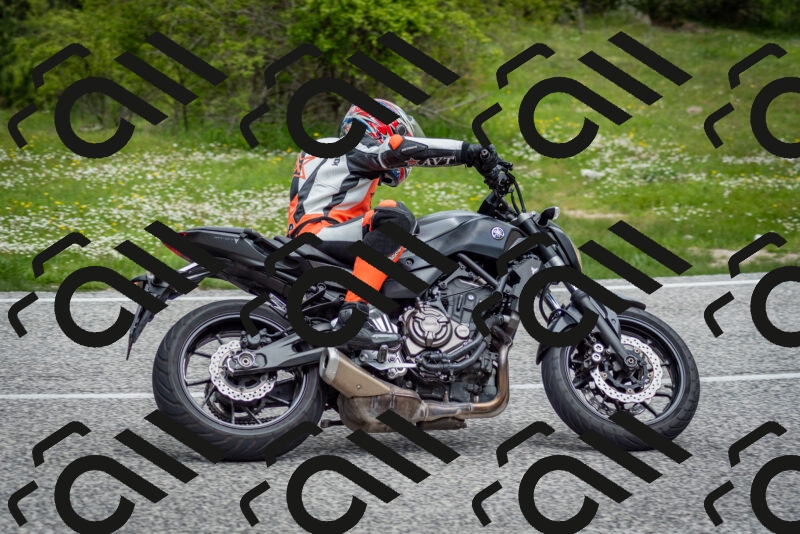 202505181135-DSC_8699_c2