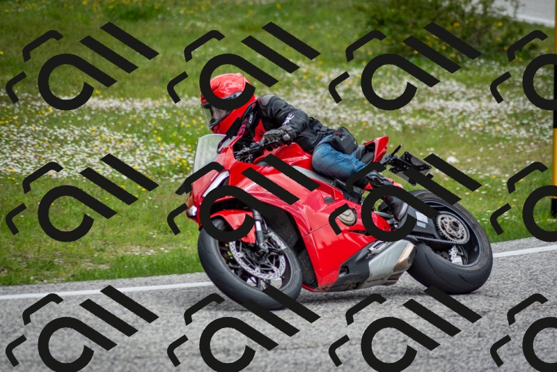 202505181135-DSC_8701_c2