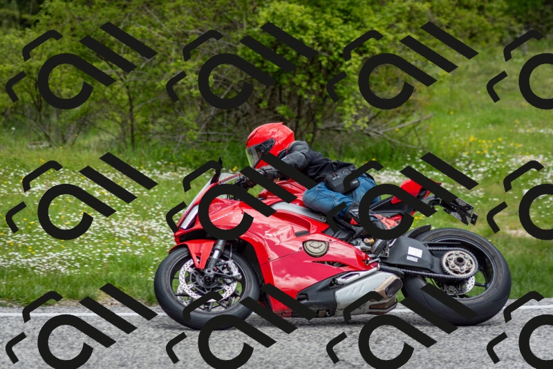 202505181135-DSC_8702_c2