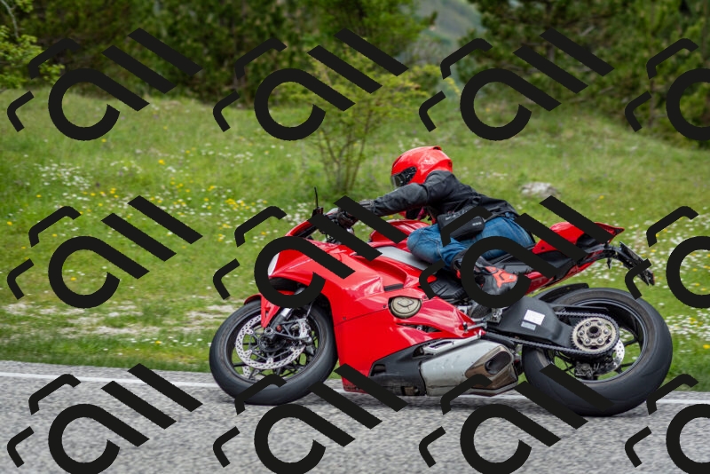 202505181135-DSC_8703_c2