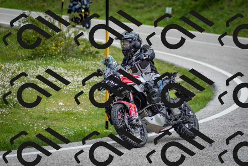 202505181135-DSC_8704_c2