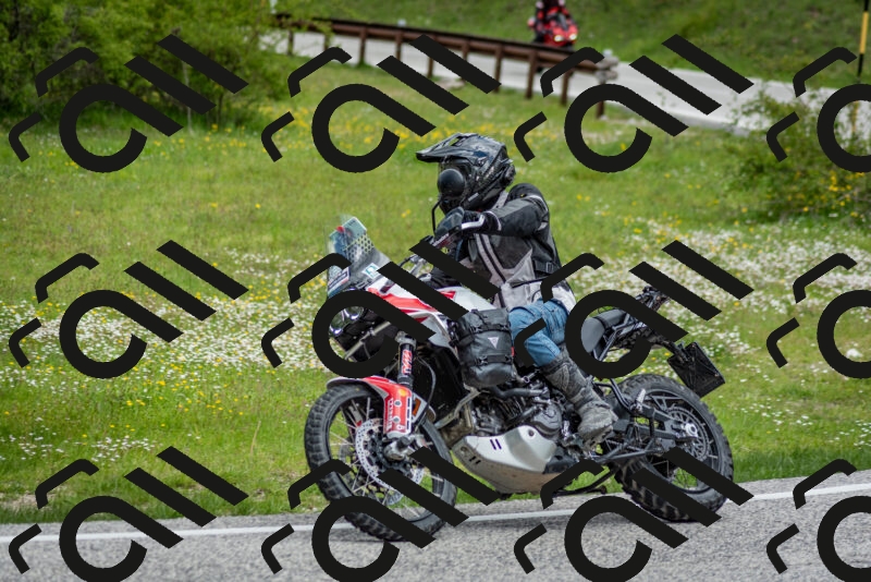 202505181135-DSC_8705_c2