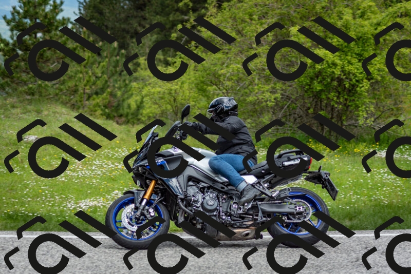 202505181135-DSC_8711_c2