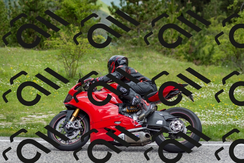 202505181135-DSC_8714_c2