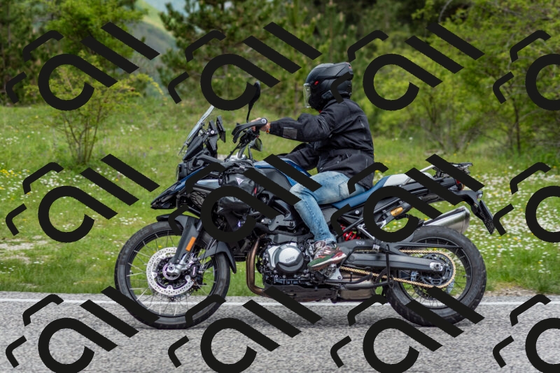 202505181135-DSC_8717_c2