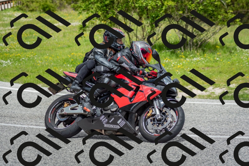 202505181135-DSC_8719_c2