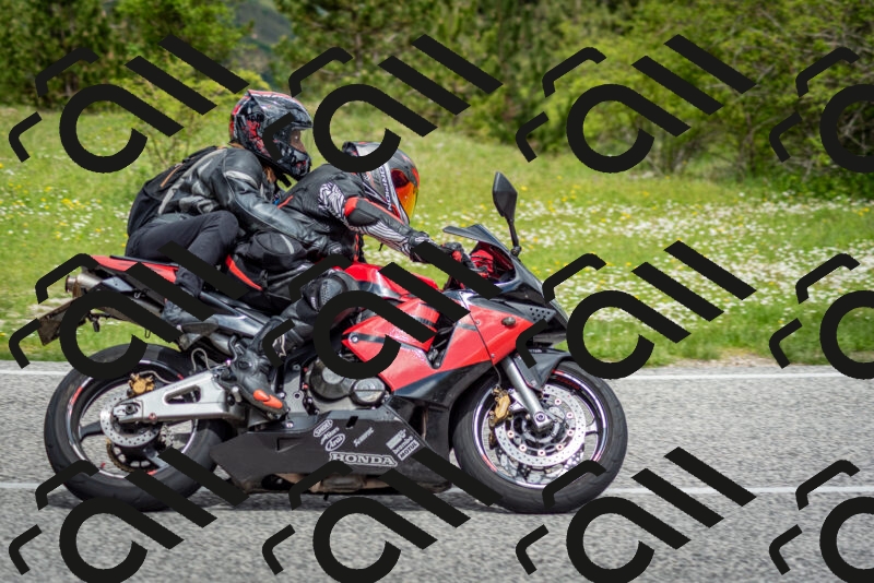 202505181135-DSC_8720_c2