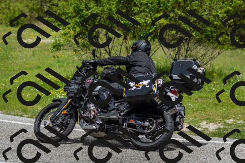 202505181135-DSC_8722_c2