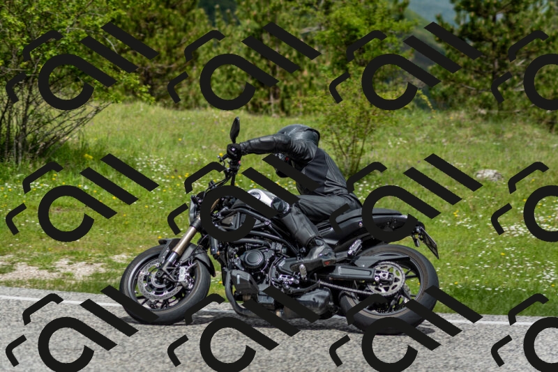 202505181135-DSC_8725_c2