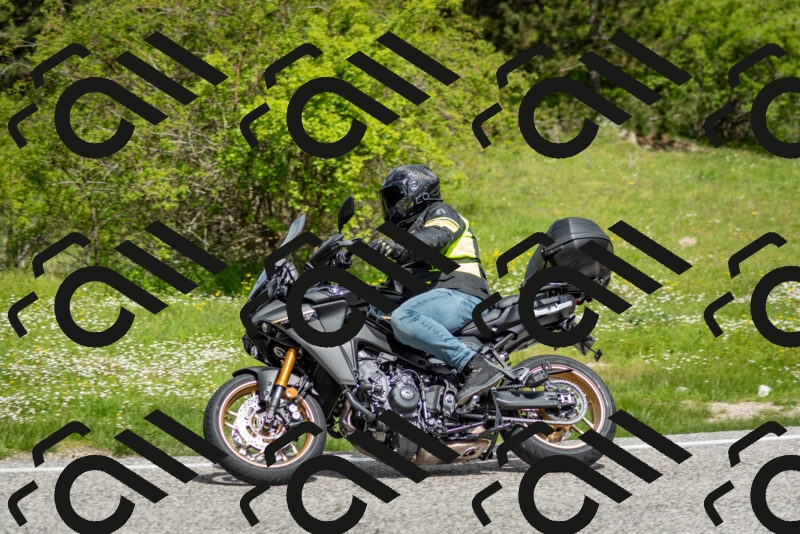 202505181136-DSC_8729_c2