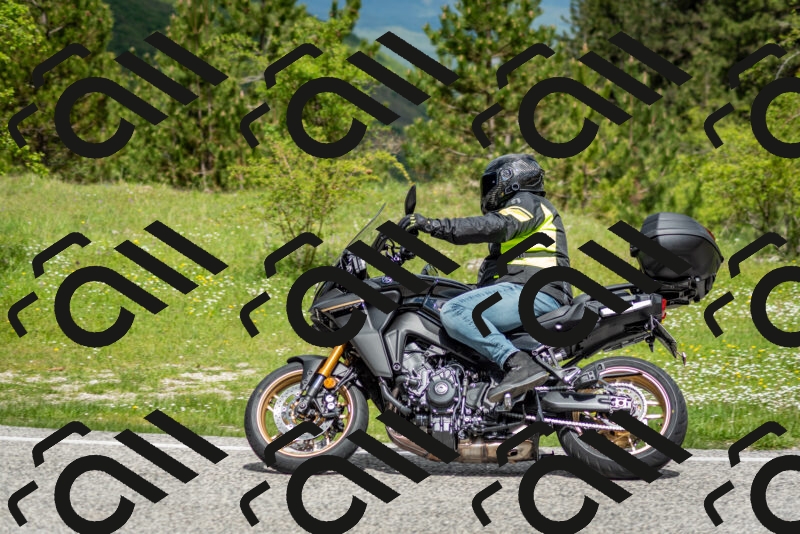 202505181136-DSC_8730_c2