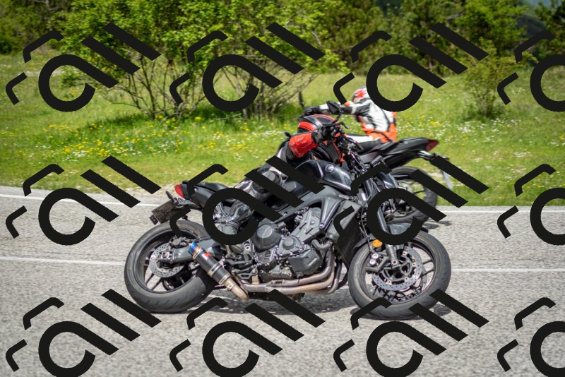 202505181136-DSC_8733_c2