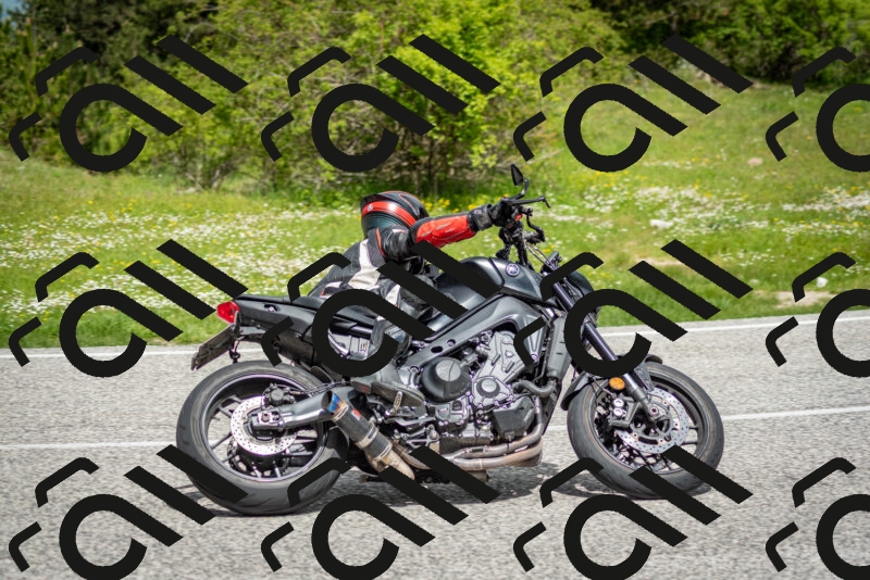 202505181136-DSC_8734_c2