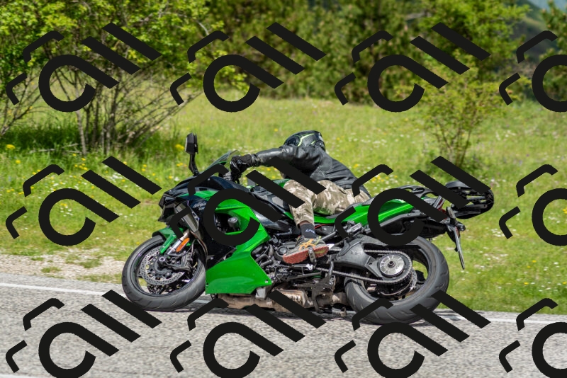 202505181136-DSC_8737_c2