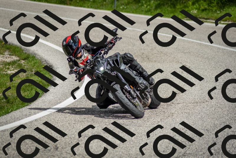 202505181136-DSC_8738_c2