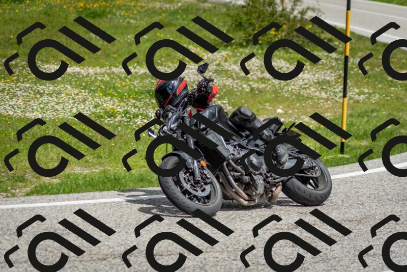 202505181136-DSC_8739_c2