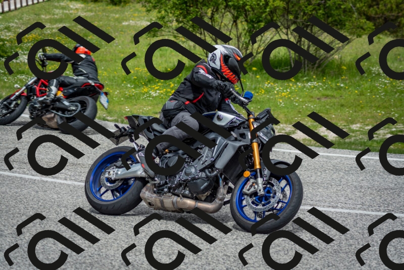 202505181136-DSC_8747_c2