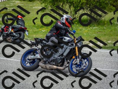 202505181136-DSC_8747_c2