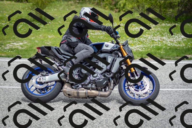 202505181136-DSC_8748_c2