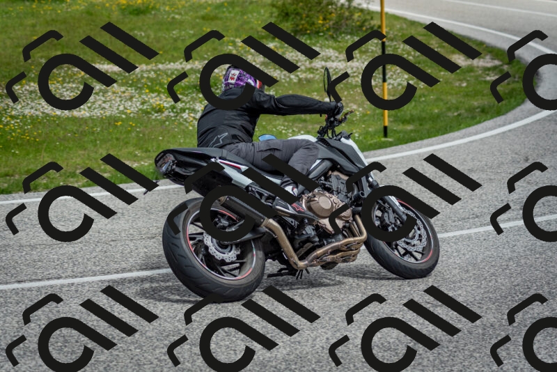 202505181137-DSC_8750_c2