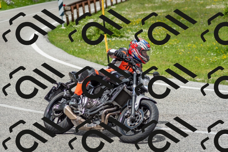 202505181137-DSC_8751_c2