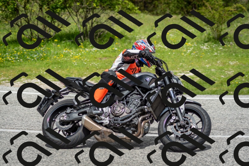 202505181137-DSC_8752_c2