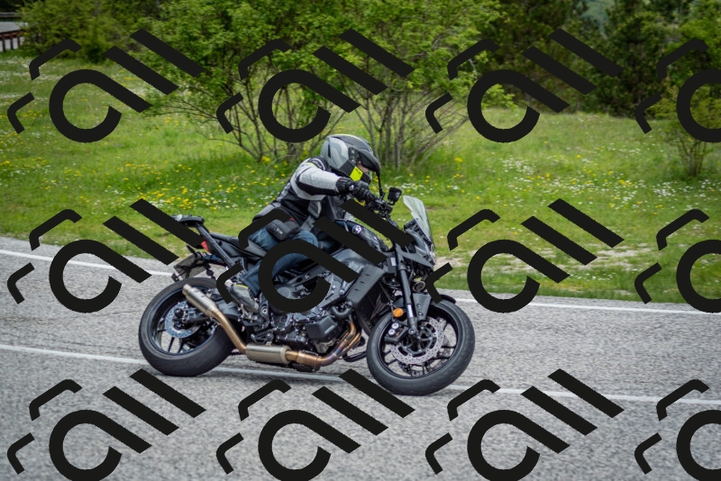 202505181137-DSC_8755_c2