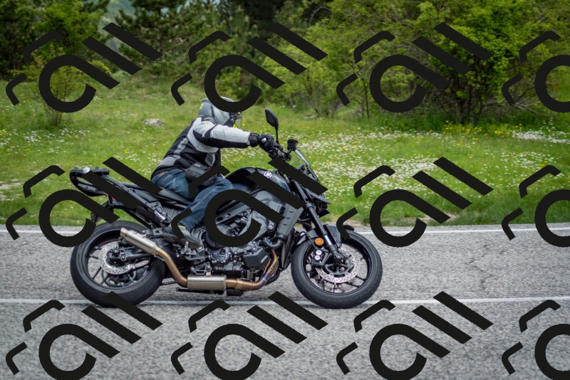 202505181137-DSC_8756_c2