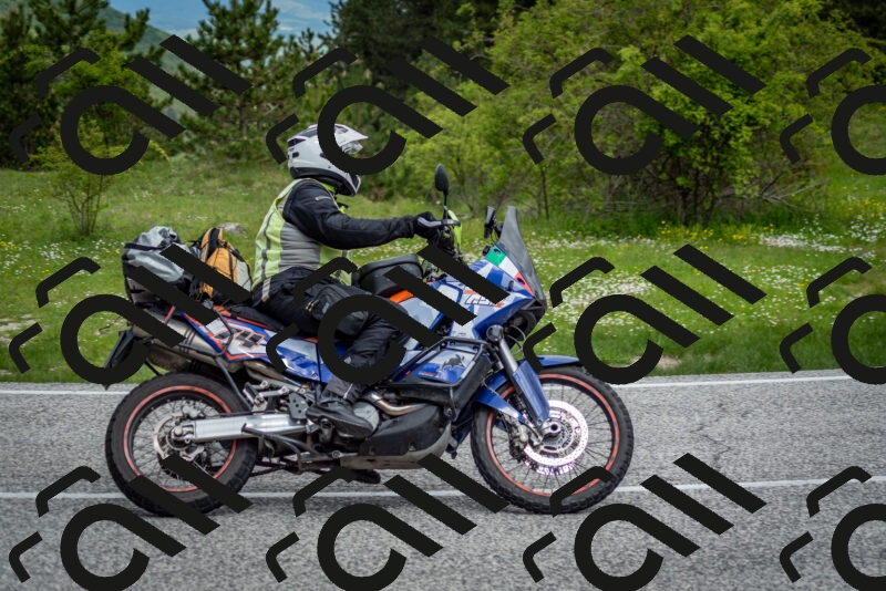 202505181137-DSC_8758_c2