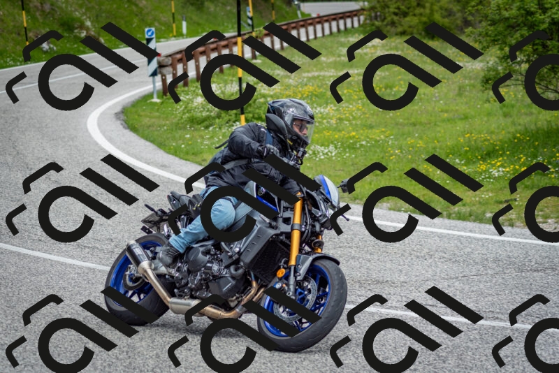 202505181137-DSC_8760_c2