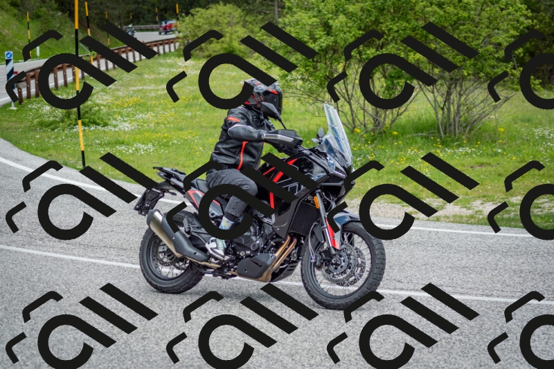 202505181137-DSC_8764_c2