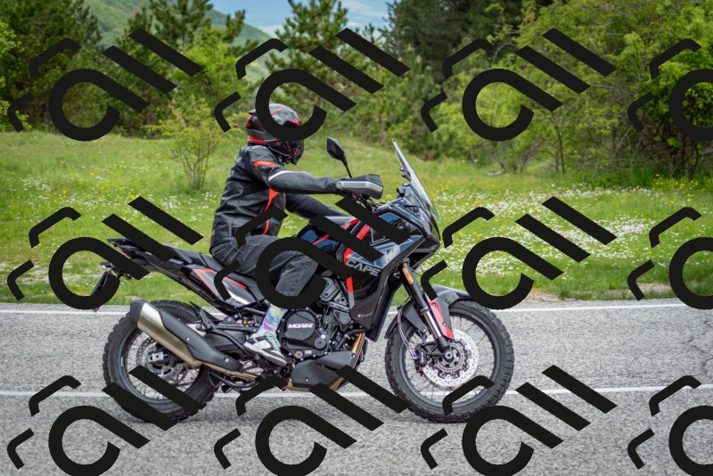 202505181137-DSC_8765_c2