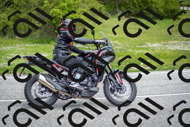 202505181137-DSC_8766_c2