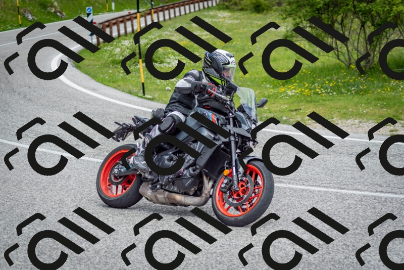 202505181137-DSC_8768_c2