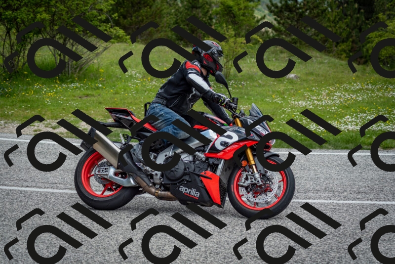 202505181138-DSC_8770_c2