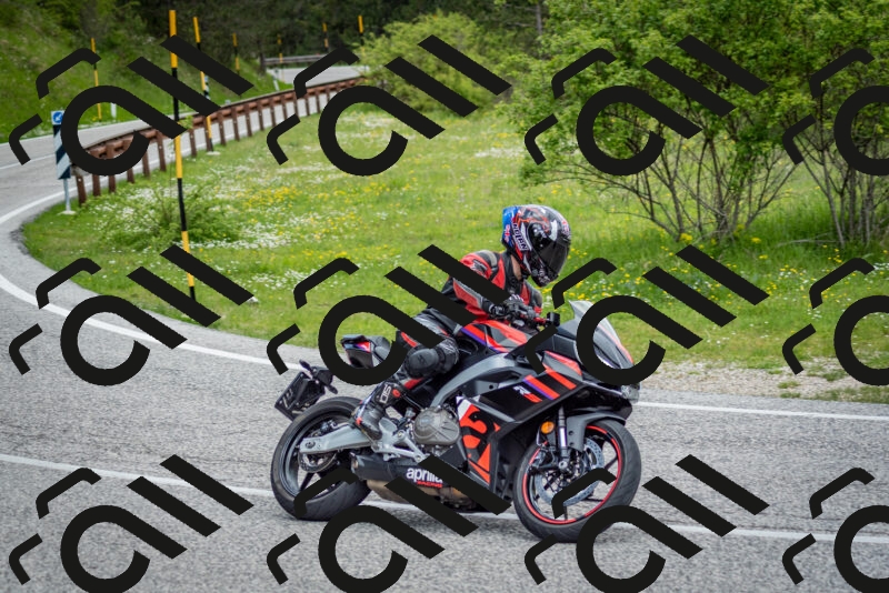 202505181138-DSC_8775_c2