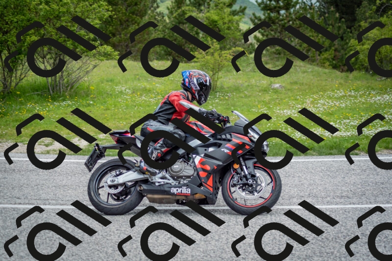 202505181138-DSC_8776_c2