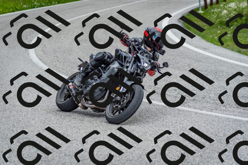 202505181138-DSC_8781_c2