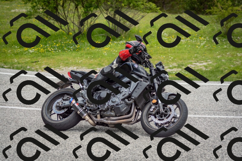 202505181138-DSC_8782_c2