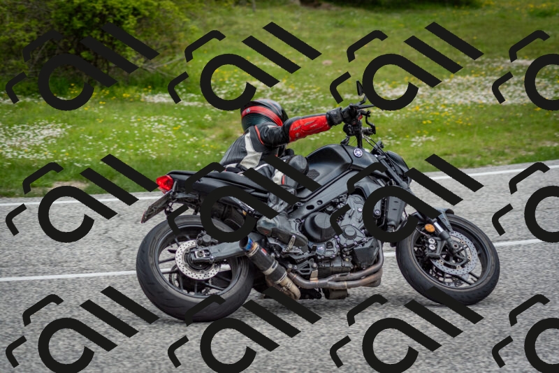 202505181138-DSC_8783_c2