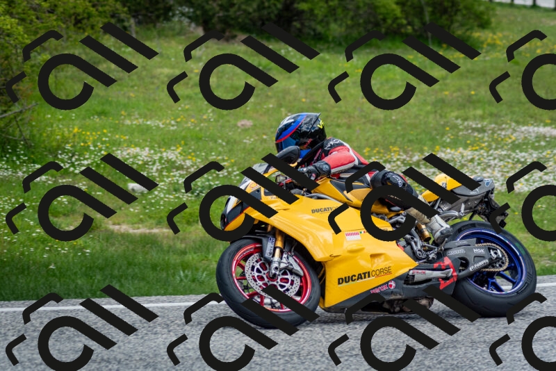 202505181138-DSC_8787_c2