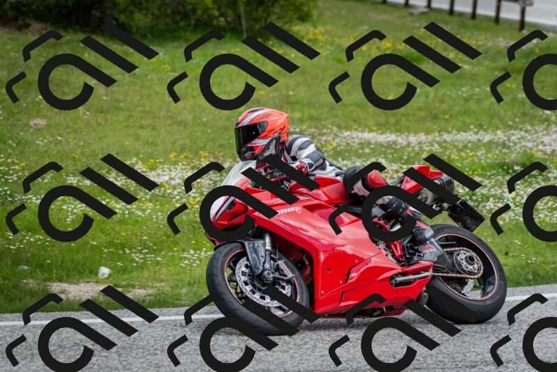 202505181138-DSC_8795_c2