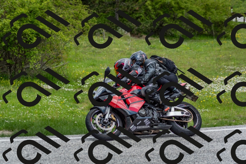 202505181138-DSC_8798_c2