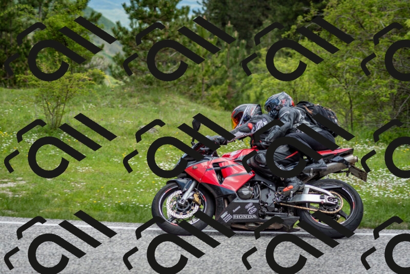 202505181138-DSC_8799_c2