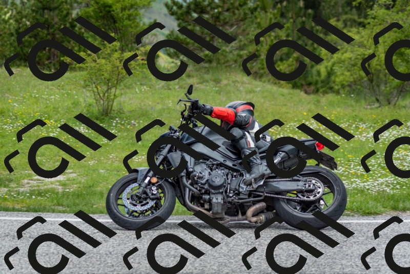 202505181139-DSC_8809_c2