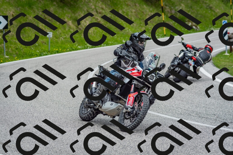 202505181139-DSC_8810_c2