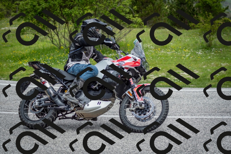 202505181139-DSC_8811_c2